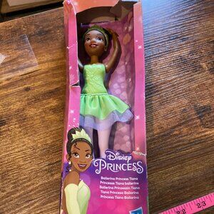 Hasbro Disney Princess